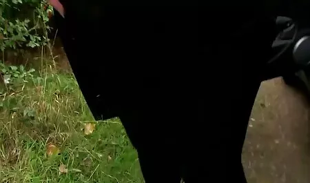LissLongLegs: وای! مگا تقدیر برای من! کانالسکسی در تلگرام