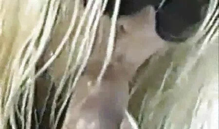 18yo خوب است انتظار برای پاداش سیکس سوپر فیلم پس از اتمام راه اندازی